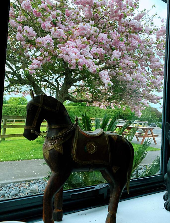 Bed and Breakfast Unique Equestrian Lifestyle Tamahere Exterior foto
