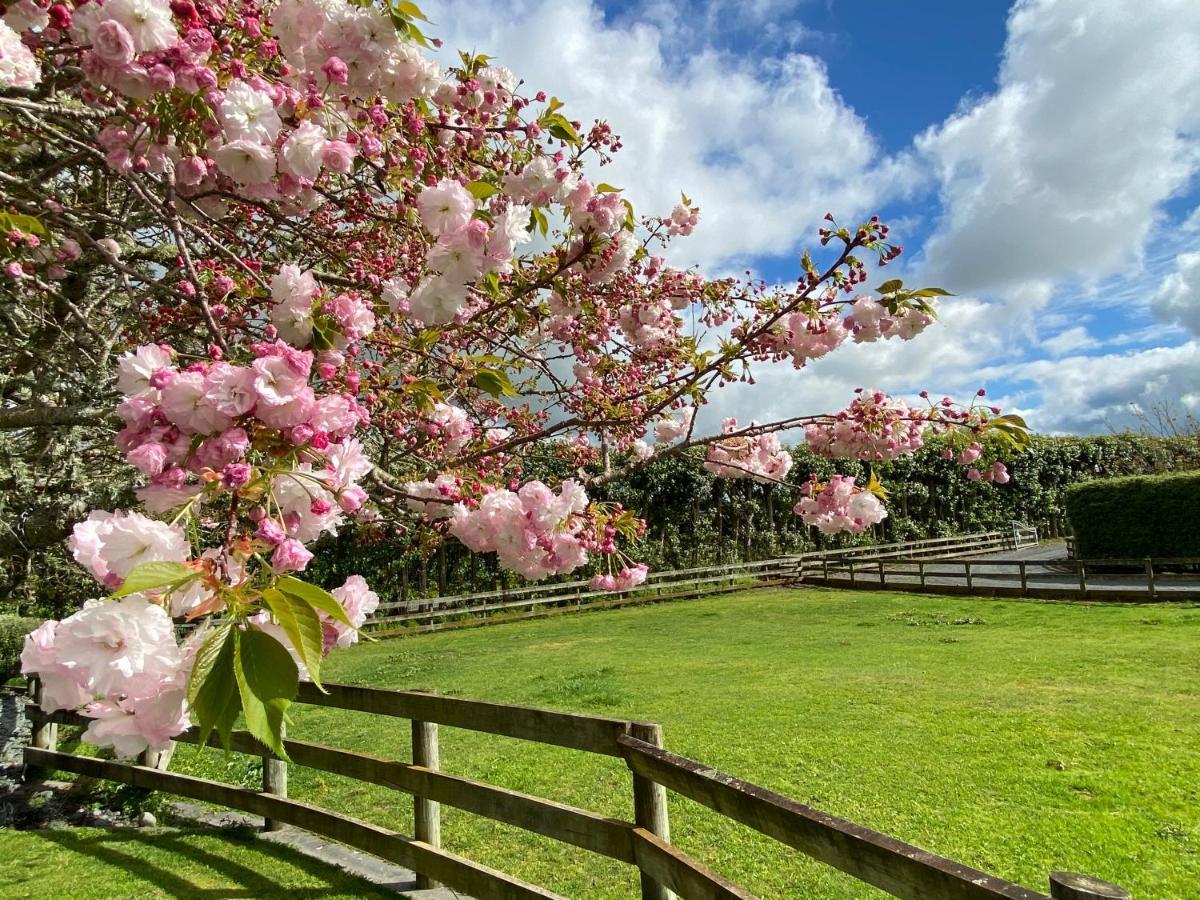 Bed and Breakfast Unique Equestrian Lifestyle Tamahere Exterior foto