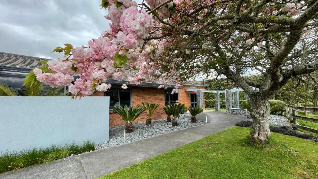 Bed and Breakfast Unique Equestrian Lifestyle Tamahere Exterior foto