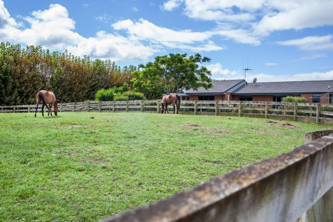 Bed and Breakfast Unique Equestrian Lifestyle Tamahere Exterior foto